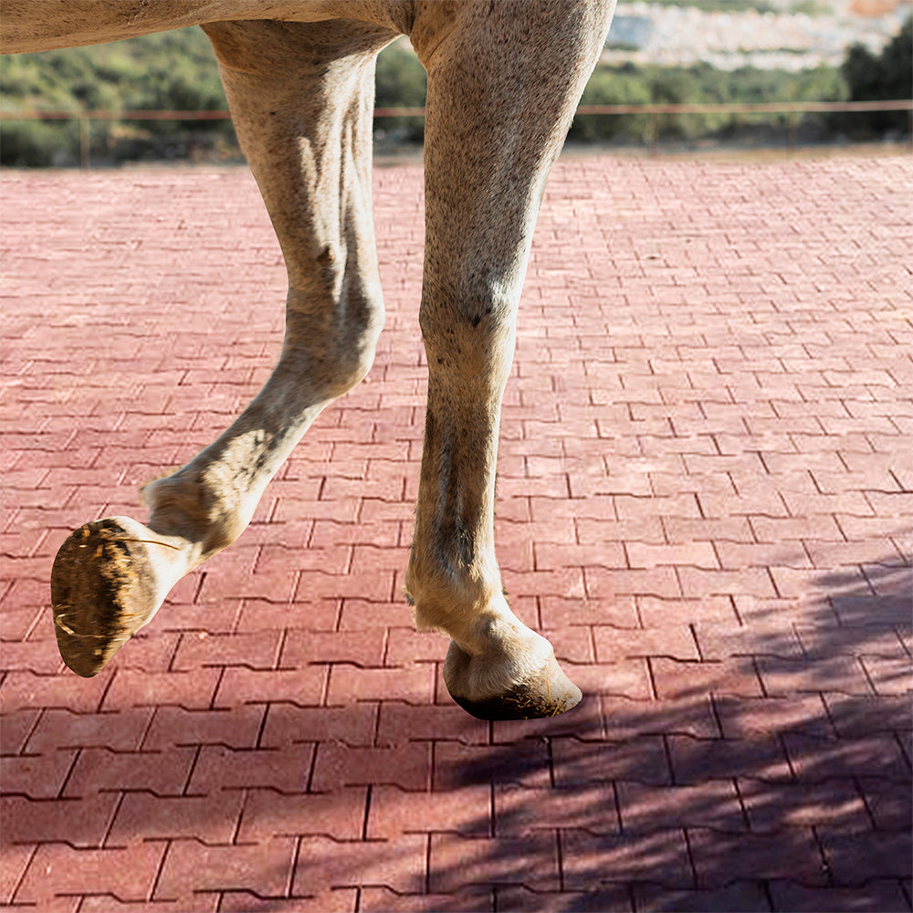 Piso para Caballos de Hule - 25mm Terracota