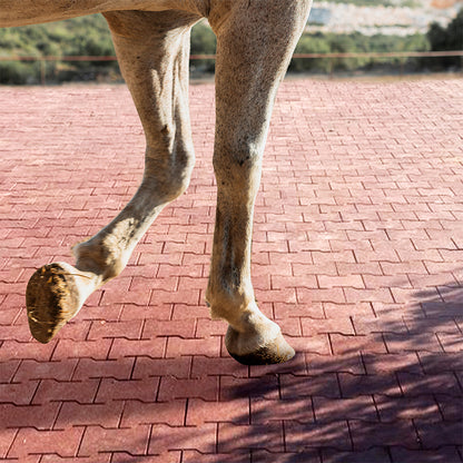 Piso para Caballos de Hule - 25mm Terracota