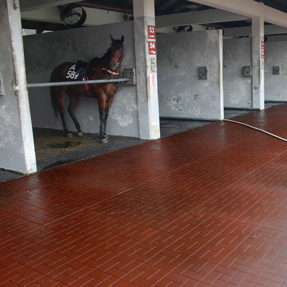 Piso para Caballerizas de Caucho